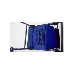 Кресло-трансформер Polar Bird(Чёрно-синее)