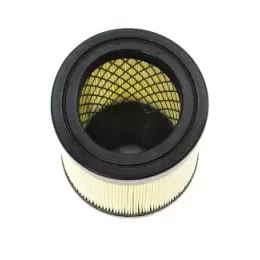 Фильтр CARTRIDGE INTAKE Coltri MCH-20-30-36