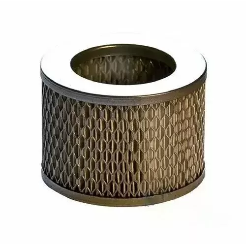 Всасывающий воздушный фильтр для Coltri MCH 22-30-36