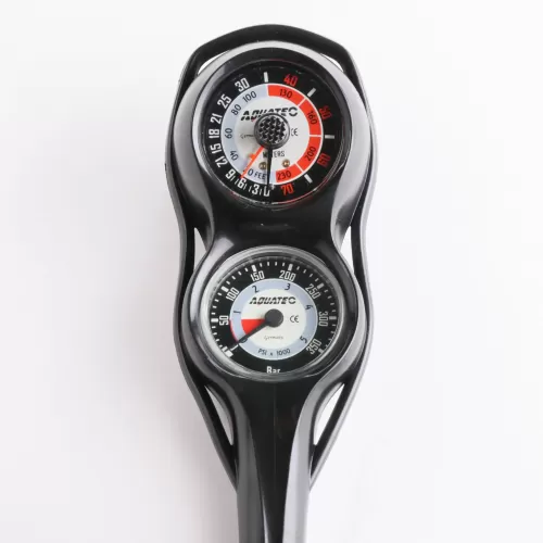 Консоль 2-х приборная GP250 Aquatec