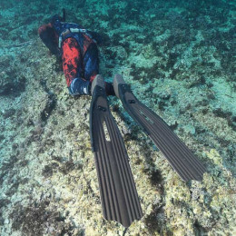 Ласты для подводной охоты STINGRAY EVO OMER