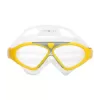 Очки-маска для плавания FanSwim T49
